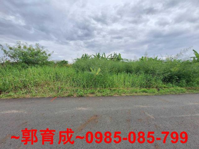 嘉義中埔農地-2