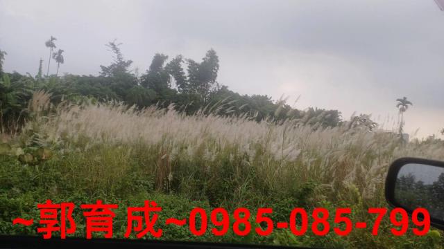 嘉義農地-6
