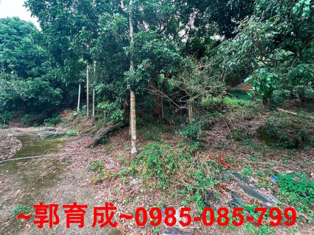 竹崎農地-10