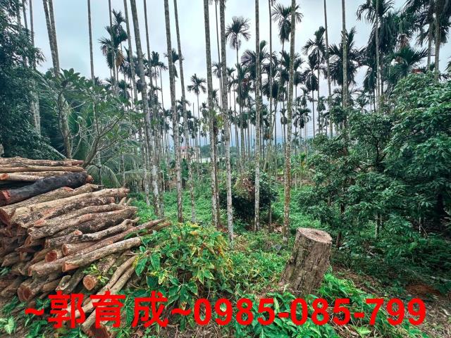 竹崎農地-8