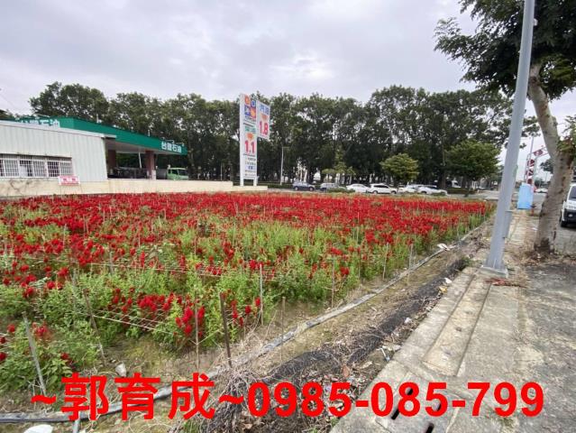 嘉義西區農地-2