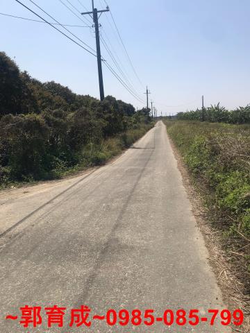 水上農地-1