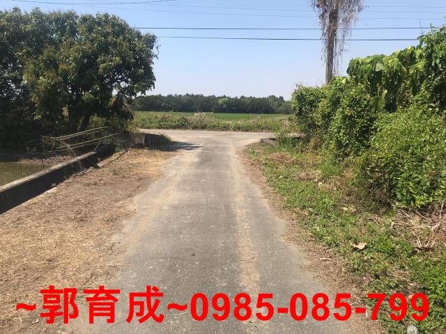 水上農地-5