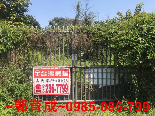 水上農地-0
