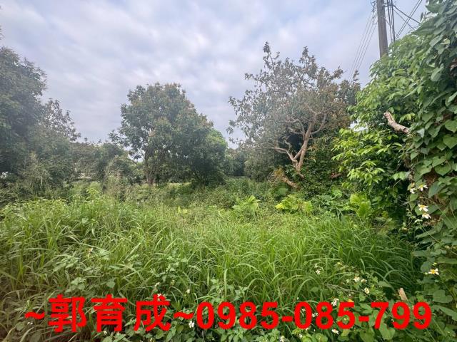 嘉義農地-5