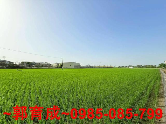 西區農地-4