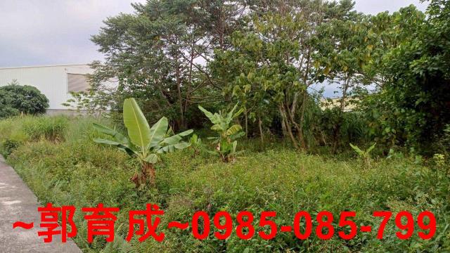 中埔農地-0