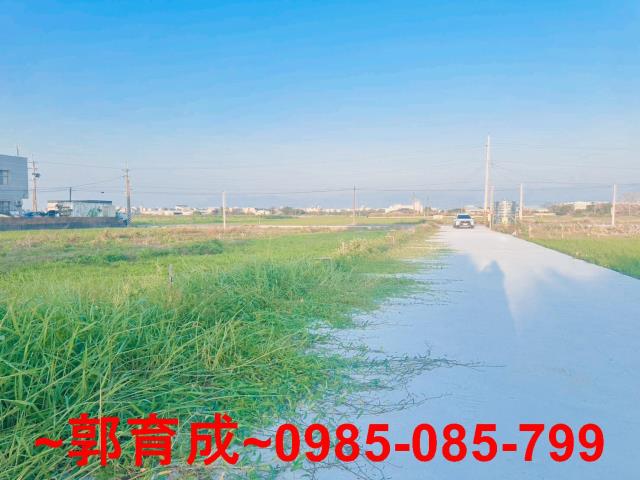 水上農地-2