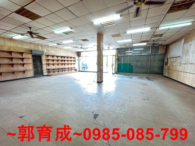 竹崎農地-8