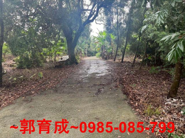 嘉義農地-12