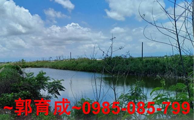嘉義東石魚塭-9