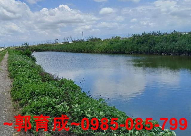 嘉義東石魚塭-1