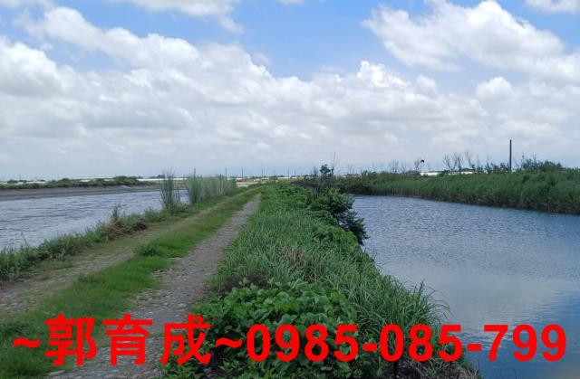 嘉義東石魚塭-3