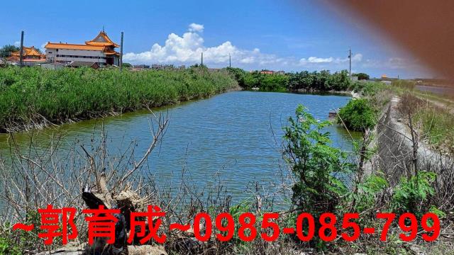 嘉義東石魚塭-6