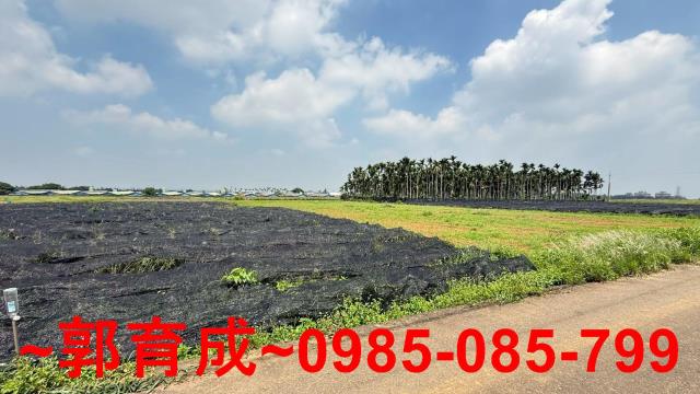 嘉義民雄農地-4