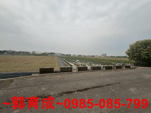 白河農地-4