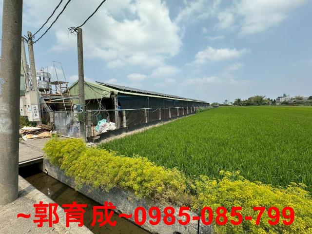 嘉義溪口雞園-0