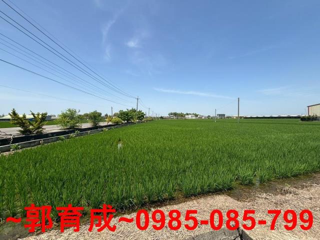 大林農地-0