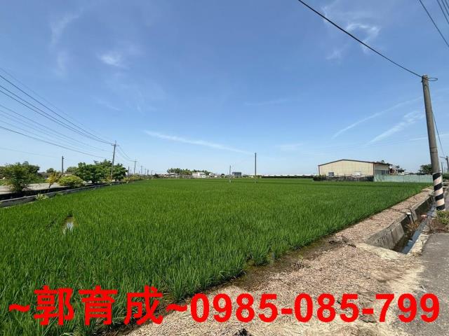 大林農地-1