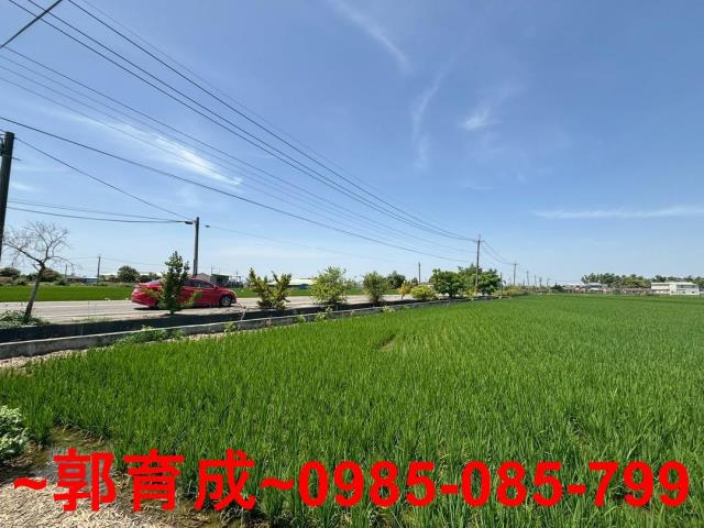 大林農地-2