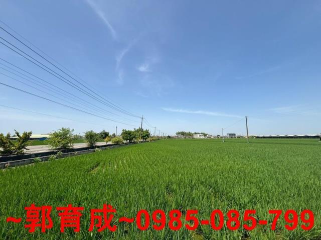 大林農地-3