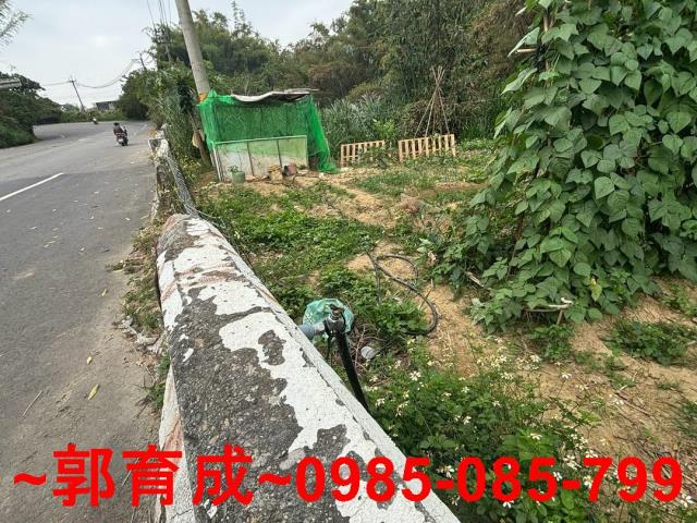水上農地-5