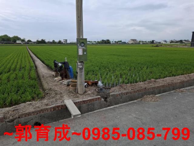 大林農地-1