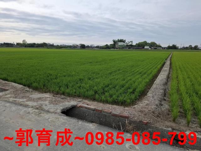 大林農地-3
