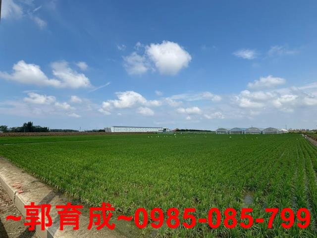六腳農地-4