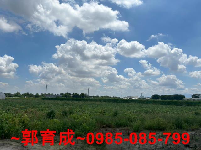 嘉義太保農地-2