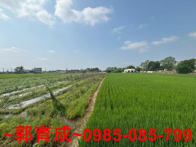 嘉義農地-5