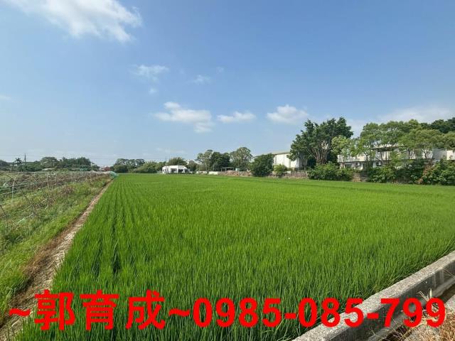 嘉義農地-6