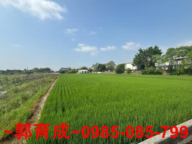 嘉義農地-0