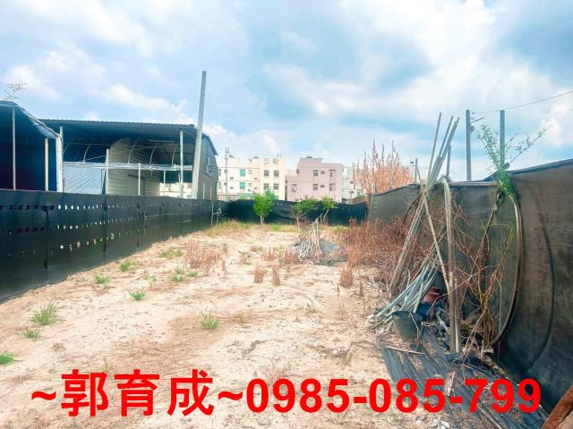 西區農地-8