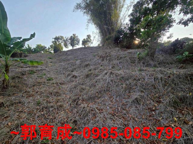 嘉義竹崎農地-6