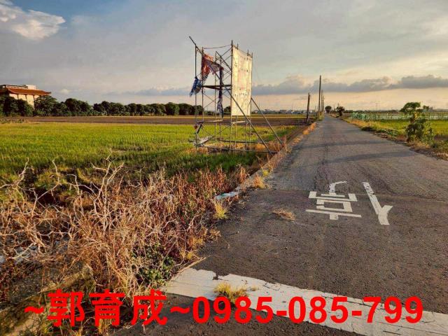 嘉義溪口農地-2