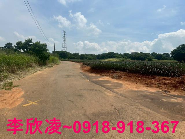 台中沙鹿農地-0