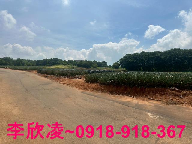台中沙鹿農地-3