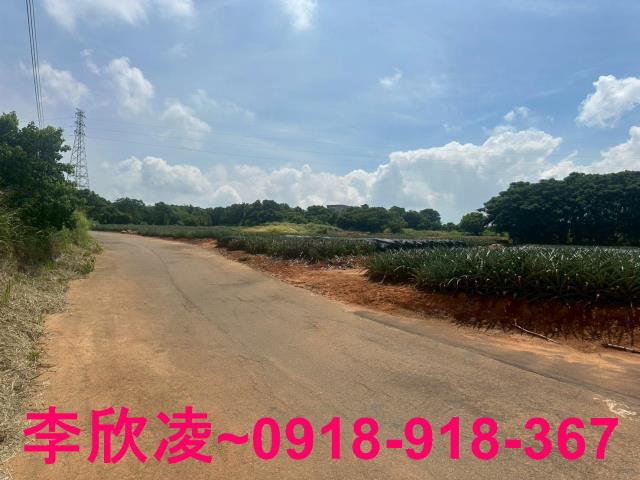 台中沙鹿農地-4
