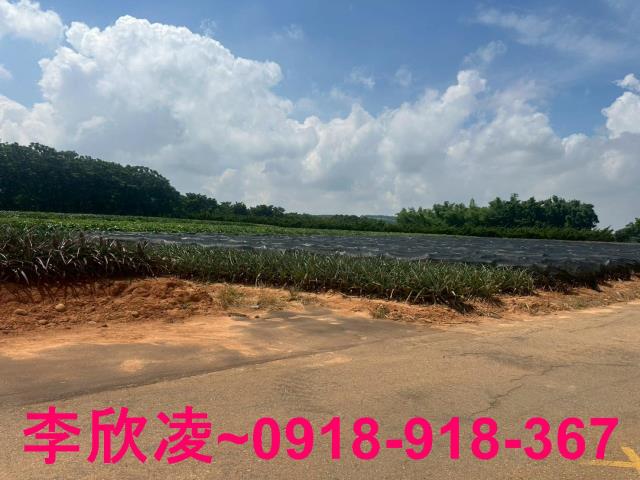 台中沙鹿農地-5