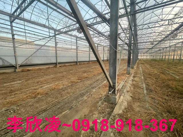 鹿草農地-1