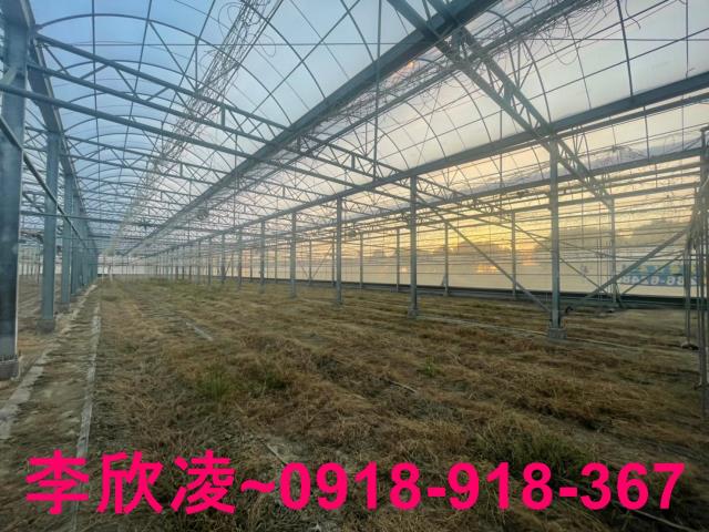 鹿草農地-2