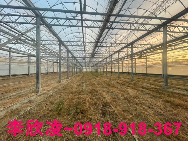 鹿草農地-3