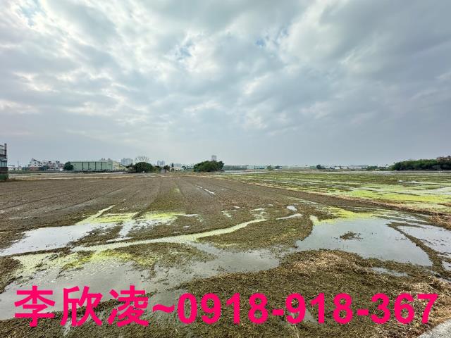西區農地-2