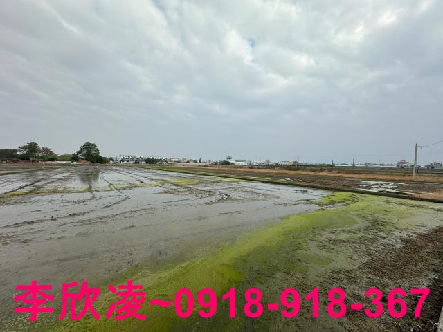 西區農地-3