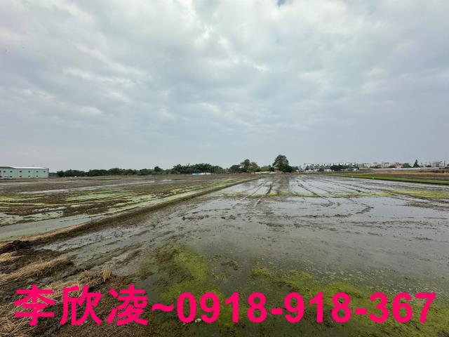 西區農地-4