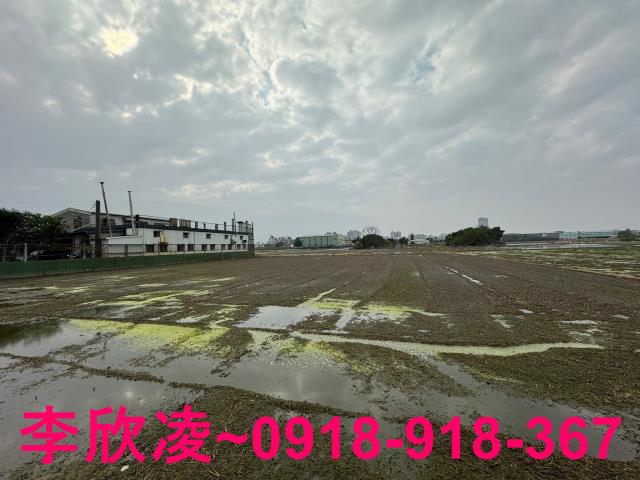 西區農地-5