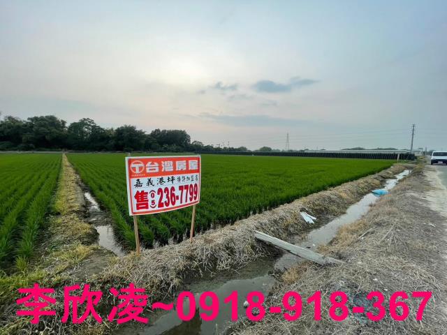 白河農地-9