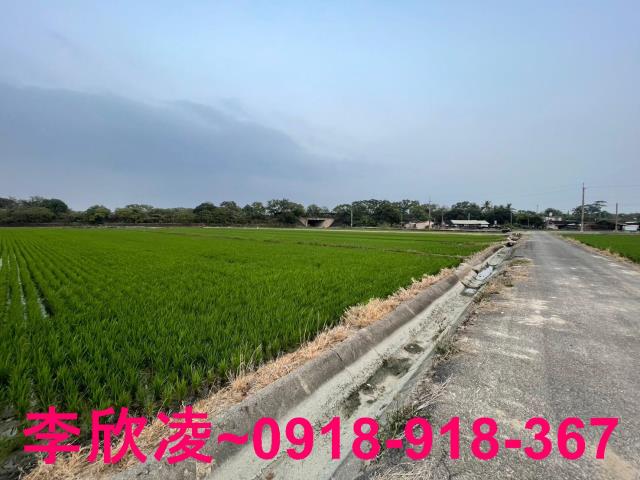白河農地-4