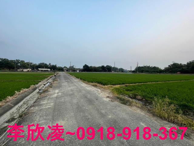 白河農地-5